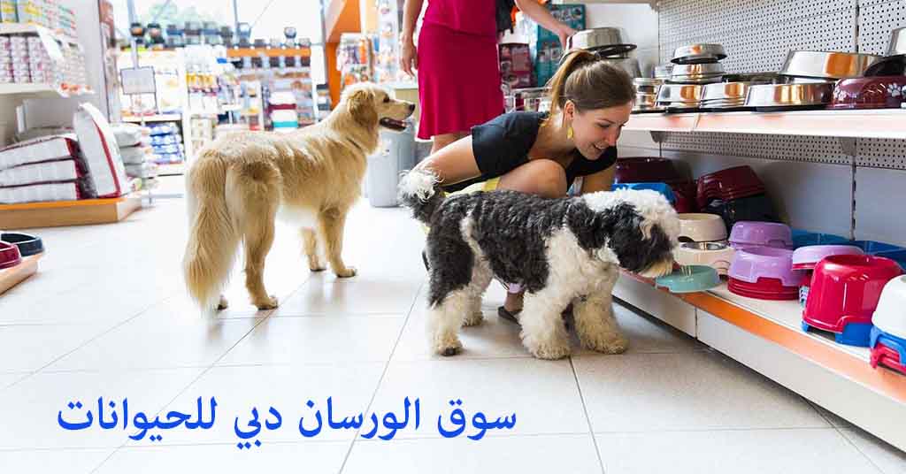 الورسان دبي للحيوانات