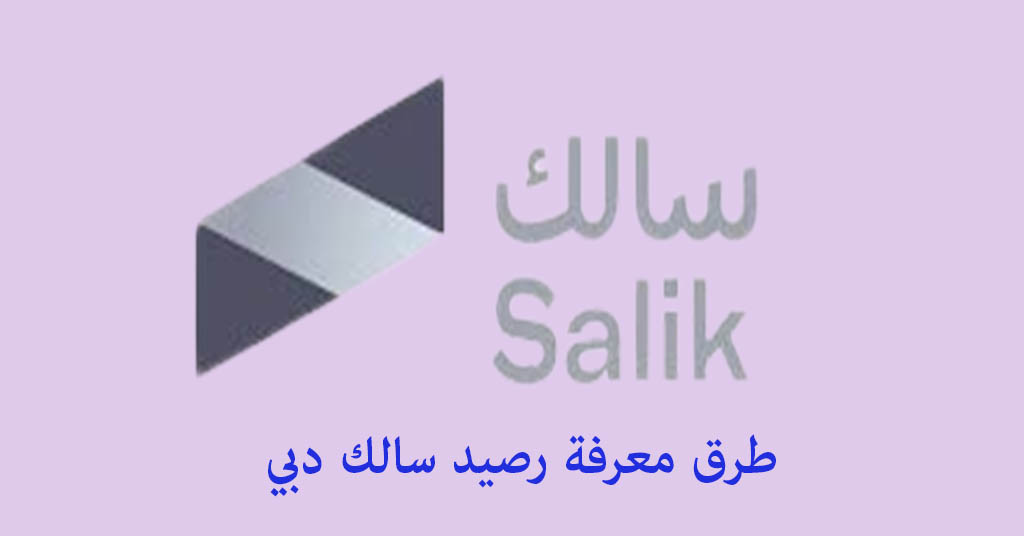 معرفة رصيد سالك دبي