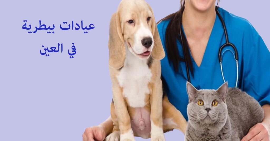عيادة بيطرية في العين