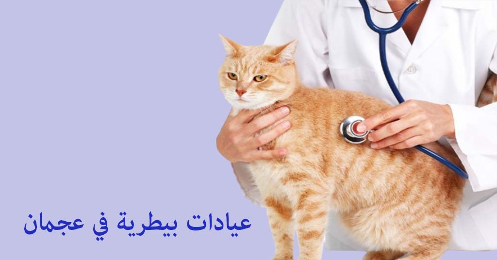 عيادة بيطرية في عجمان