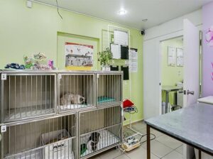 عيادة بيطرية الشارقة