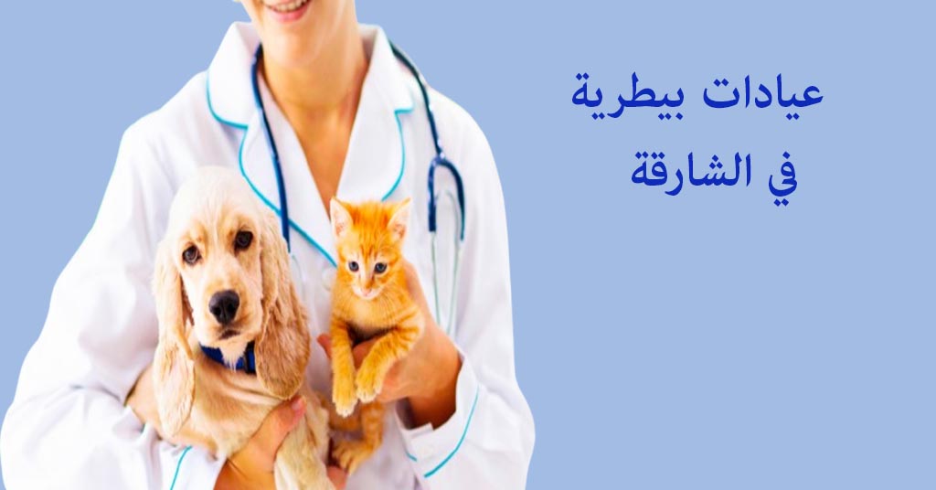 عيادة بيطرية الشارقة