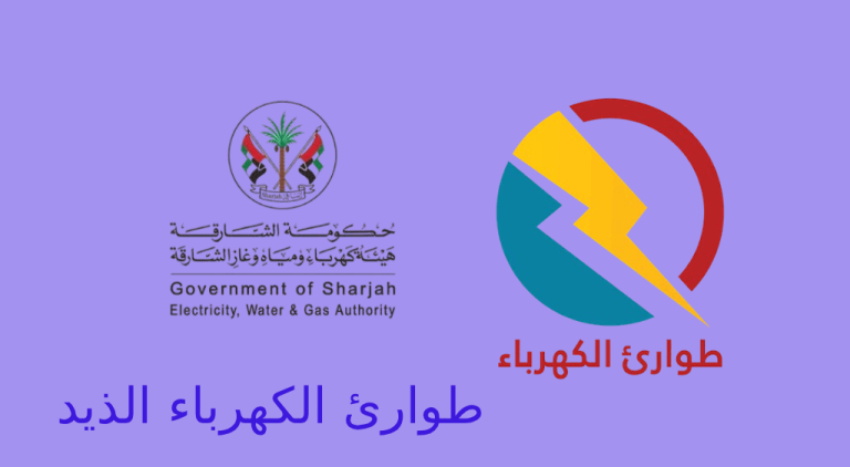 طوارئ الكهرباء الذيد
